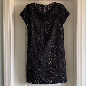LOFT lace shift dress